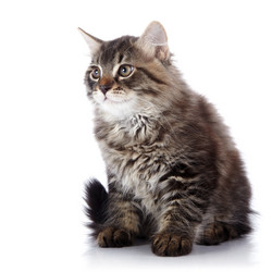 Similar image 5586928