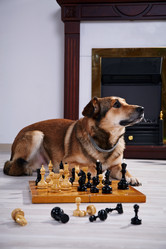 Similar image 5586931