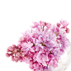 Similar image 5586938