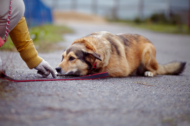 Similar image 5586939