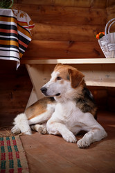 Similar image 5586941