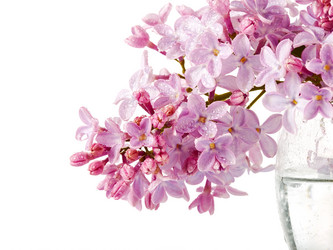 Similar image 5586942