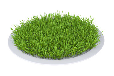 Similar image 5586981