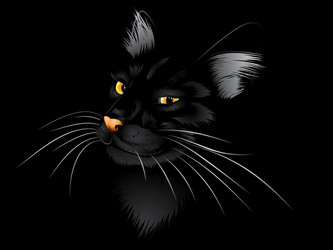 Similar image 5587453