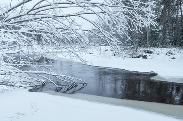 Similar image 5588746