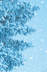 Similar image 5588747