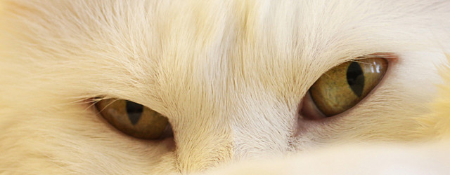 Similar image 5588762