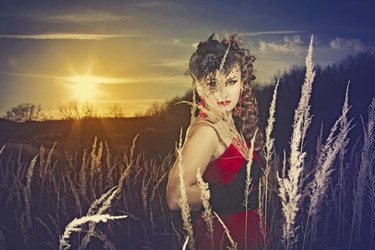 Similar image 5588772