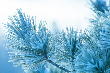 Similar image 5588774