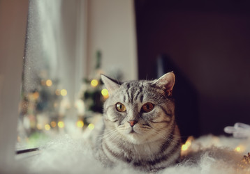 Similar image 5588779