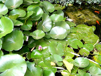 Similar image 5588781