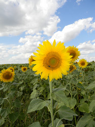 Similar image 5588783