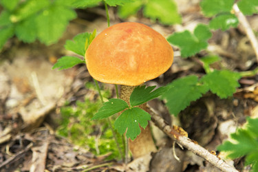 Similar image 5588810