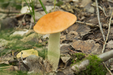 Similar image 5588811