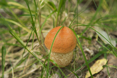 Similar image 5588812