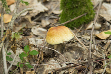 Similar image 5588813