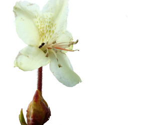 Similar image 5588815