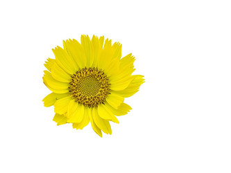 Similar image 5588816