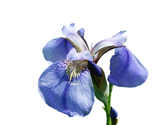 Similar image 5588818