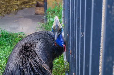 Similar image 5588822