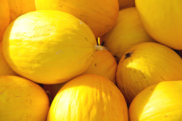 Similar image 5588867