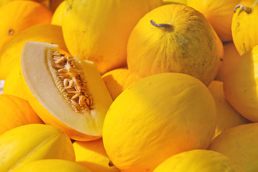 Similar image 5588869