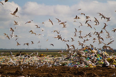 Similar image 5588970