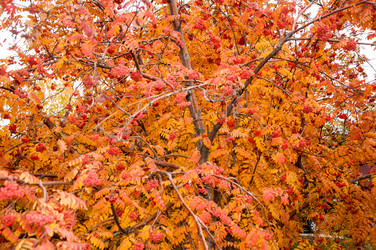 Similar image 5589005