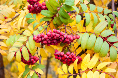 Similar image 5589006