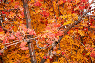 Similar image 5589007