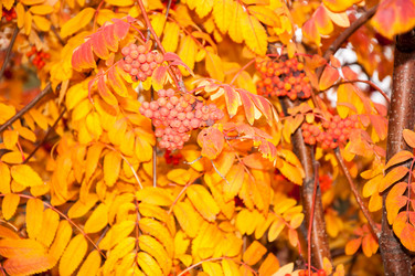 Similar image 5589009