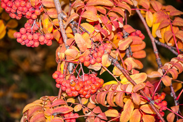 Similar image 5589010