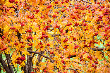 Similar image 5589011