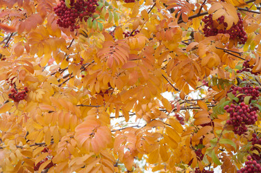 Similar image 5589027