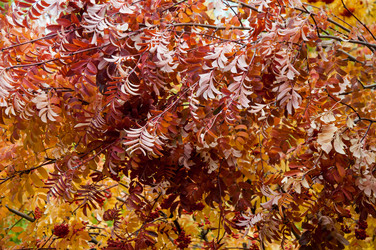 Similar image 5589028