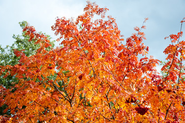 Similar image 5589029