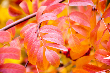 Similar image 5589030