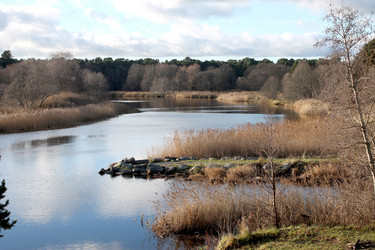 Similar image 5589080