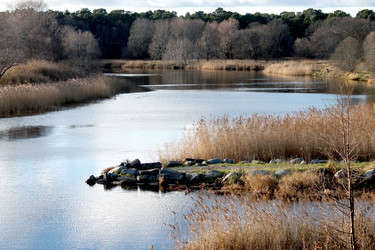 Similar image 5589081