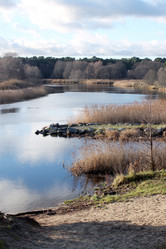 Similar image 5589082