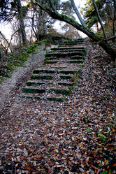 Similar image 5589113