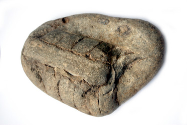 Similar image 5589115