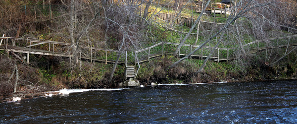 Similar image 5589116