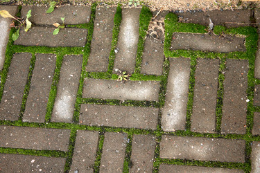 Similar image 5589117