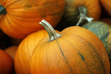 Similar image 5589246