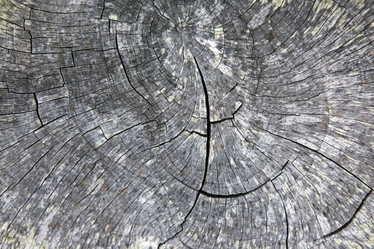 Similar image 5589247