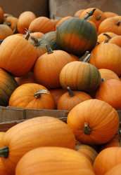 Similar image 5589248