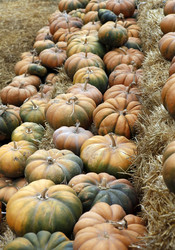 Similar image 5589293