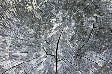 Similar image 5589298