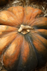 Similar image 5589299